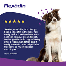 Load image into Gallery viewer, Flexadin UC-II Joint Care for Dogs