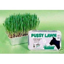Load image into Gallery viewer, Pussy Lawn Natural Indoor Grass