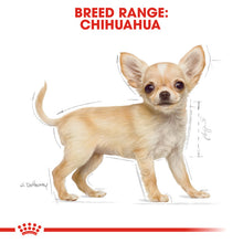 Load image into Gallery viewer, Royal Canin Dry Dog Food Specifically For Chihuahua 1.5kg