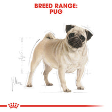 Load image into Gallery viewer, Royal Canin Dry Dog Food Specifically For Adult Pug - All Sizes
