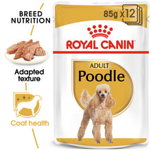 Load image into Gallery viewer, Royal Canin Wet Dog Food Specifically For Poodle Adult 12x85g