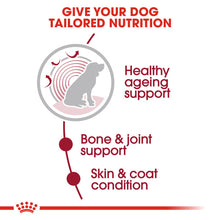 Load image into Gallery viewer, Royal Canin Wet Dog Food For Medium Ageing Senior 10+ Dogs 10x140g