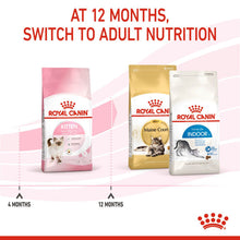 Load image into Gallery viewer, Royal Canin Dry Cat Kitten Food - All Sizes