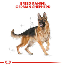 Load image into Gallery viewer, Royal Canin Dry Dog Food Specifically For Adult German Shepherds - All Sizes