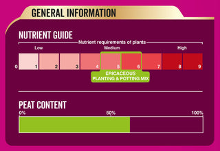 Load image into Gallery viewer, Westland Specialist Ericaceous Planting & Potting Mix