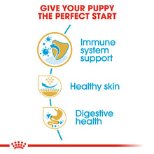 Load image into Gallery viewer, Royal Canin Dry Dog Food Specifically For Puppy Pug 1.5kg