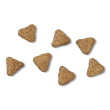 Load image into Gallery viewer, James Wellbeloved Fish & Rice Adult Dog Food 2kg