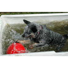 Load image into Gallery viewer, Company Of Animals Boomer Ball Dog Toy Assorted Colours All Sizes