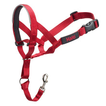 Load image into Gallery viewer, Company Of Animals Halti Dog Headcollar Red