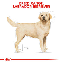 Load image into Gallery viewer, Royal Canin Dry Dog Food Specifically For Adult Labrador Retriever - All Sizes