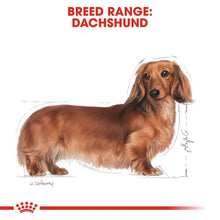 Load image into Gallery viewer, Royal Canin Wet Dog Food Specifically For Adult Dachshund 12x85g