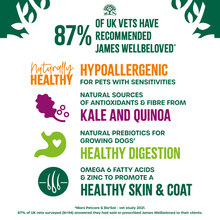 Load image into Gallery viewer, James Wellbeloved Turkey, Kale & Quinoa Adult Dog Superfood 1.5kg
