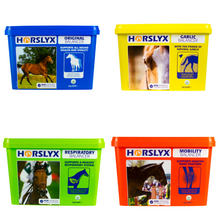Load image into Gallery viewer, Horslyx Balancer Lick 5kg- Various