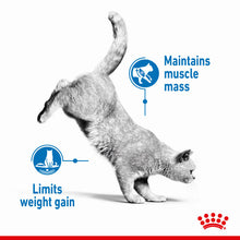 Load image into Gallery viewer, Royal Canin Light Weight Care Adult Dry Cat Food For Cats- Various Sizes
