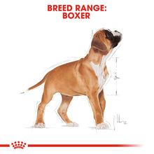 Load image into Gallery viewer, Royal Canin Dry Dog Food Specifically For Puppy Boxer - All Sizes