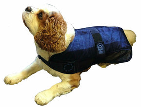 Load image into Gallery viewer, Animate Pet Dog Cat Cooling Coat Jacket For Dogs