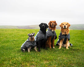 Load image into Gallery viewer, Henry Wag Waterproof Dog Warm Coat Clothing - All Sizes