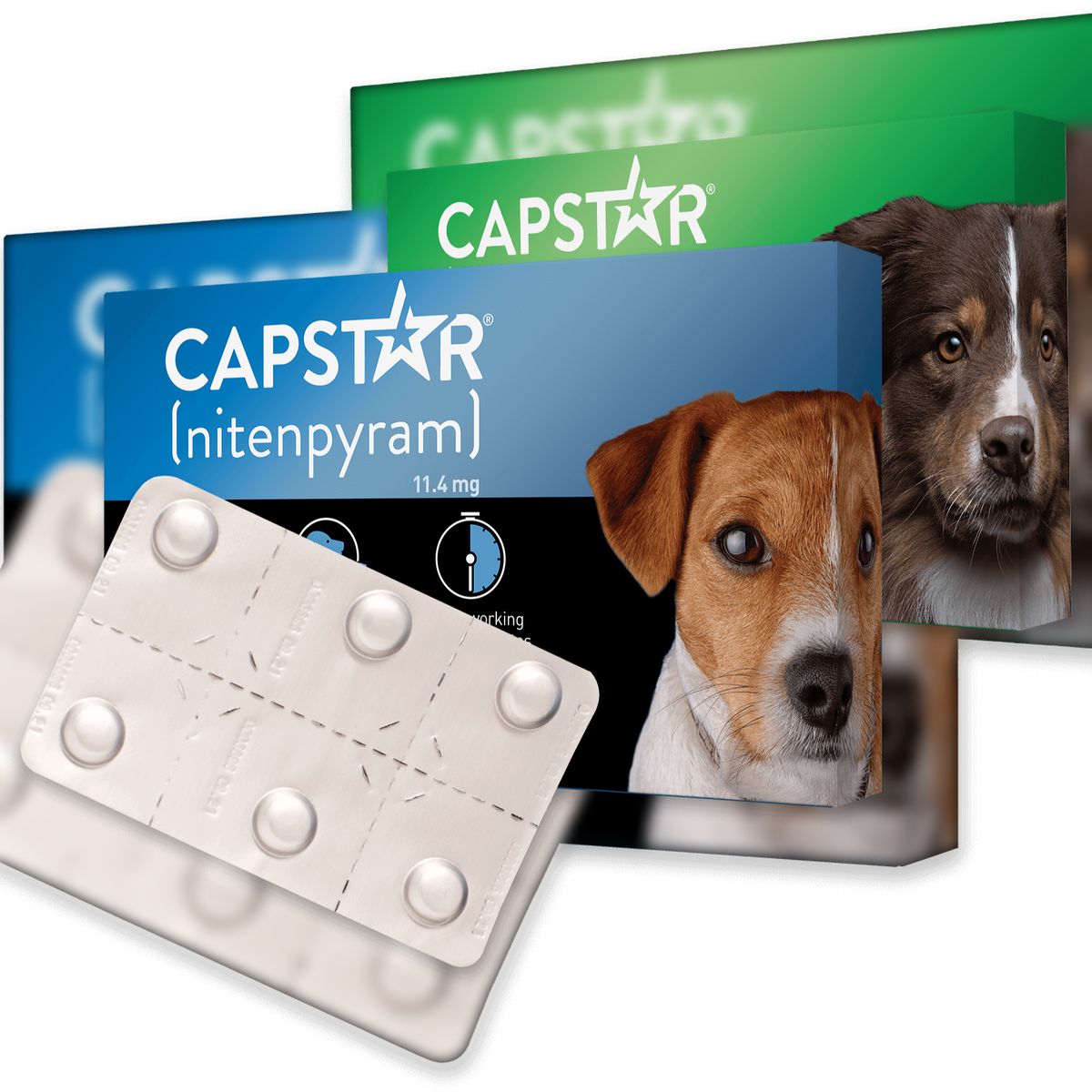 Capstar safe for puppies deals