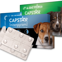 Load image into Gallery viewer, Capstar Flea Tablets For Cats & Dogs