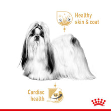 Load image into Gallery viewer, Royal Canin Wet Dog Food Specifically For Adult Shih Tzu 12x85g