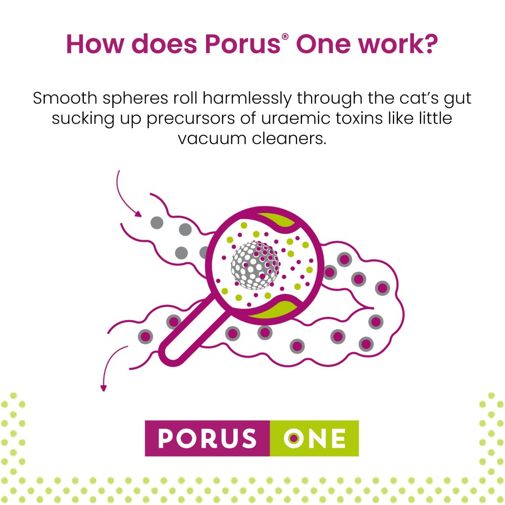 Porus One Buy 1 Get 1 Free Kidney Support for Cats Direct4Pet