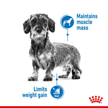 Load image into Gallery viewer, Royal Canin Dry Dog Food Light Weight Care For Mini Dogs - All Types