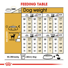 Load image into Gallery viewer, Royal Canin Dry Dog Food Specifically For Adult Chihuahua - All Sizes