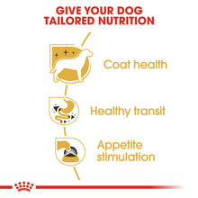 Load image into Gallery viewer, Royal Canin Wet Dog Food Specifically For Chihuahua Adult 12x85g