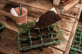 Load image into Gallery viewer, Westland Gro-Sure Seed & Cutting Compost Bale 20L