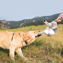 Load image into Gallery viewer, KONG Stretchezz Legz Bear Large