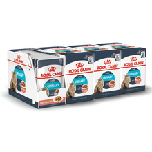 Load image into Gallery viewer, Royal Canin Wet Cat Food Urinary Care Food Pouch 48 x 85g
