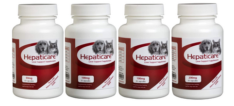 Load image into Gallery viewer, Hepaticare Liver Supplement Support
