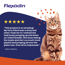 Load image into Gallery viewer, Flexadin Joint Care for Cats, 60 Chews