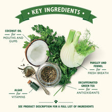 Load image into Gallery viewer, Lily's Kitchen Woofbrush Dog Dental Treat - All Sizes