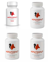 Load image into Gallery viewer, Hepatosyl Plus Capsules For Cats & Dogs