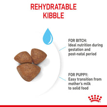 Load image into Gallery viewer, Royal Canin Dry Dog Food For Mini Starter Mother & Babydog - All Sizes
