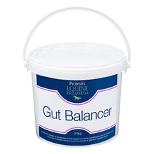 Load image into Gallery viewer, Protexin Equine Premium Gut Balancer