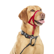 Load image into Gallery viewer, Company Of Animals Halti Dog Headcollar Red