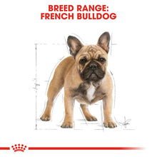 Load image into Gallery viewer, Royal Canin Dry Dog Food Specifically For Adult French Bulldog - All Sizes