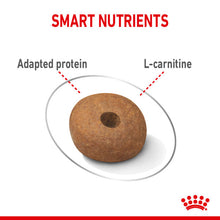 Load image into Gallery viewer, Royal Canin Dry Dog Food For Medium Light Care Adult Dogs - All Sizes