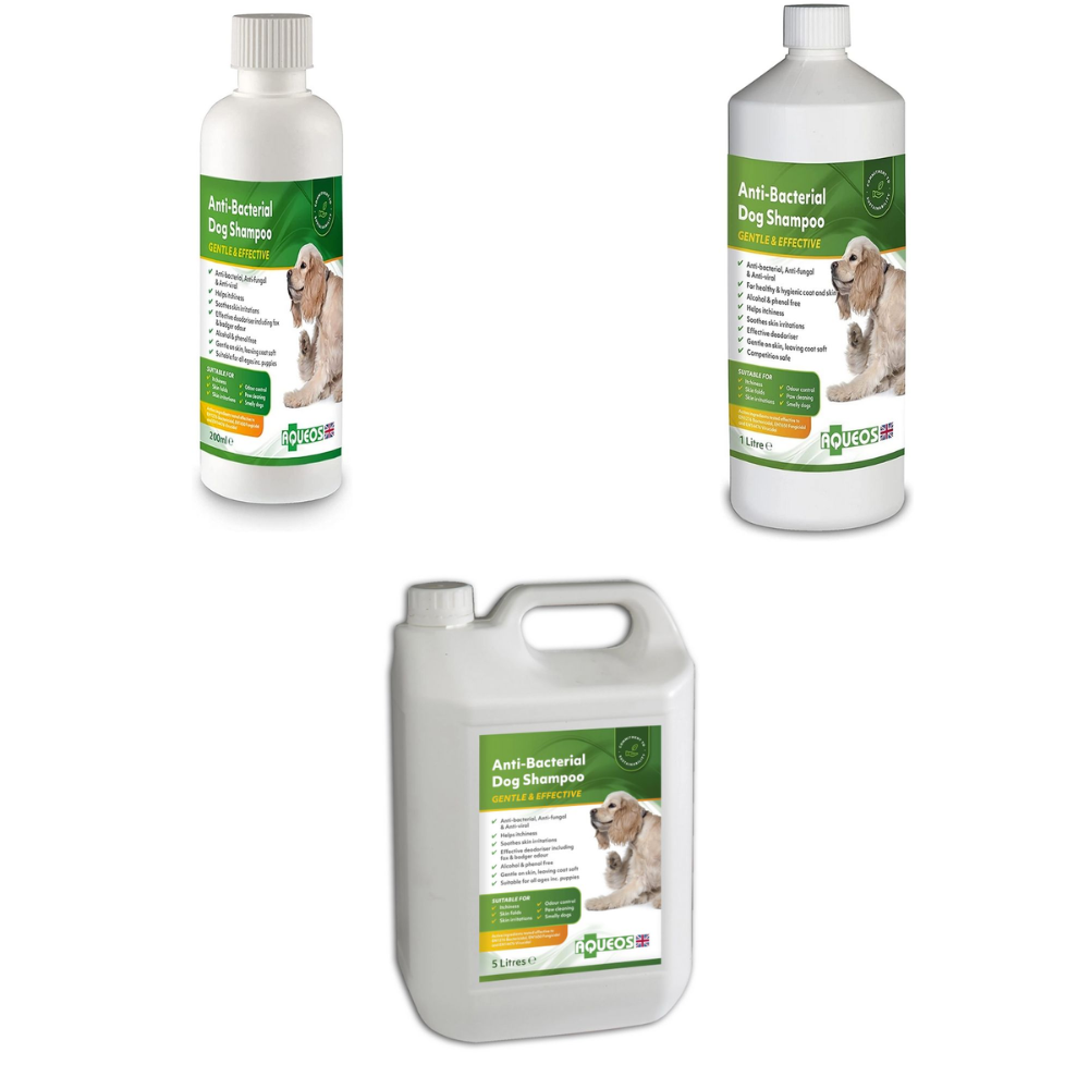 Aqueos AntiBacterial Dog Shampoo All Sizes Direct4Pet Free Delivery
