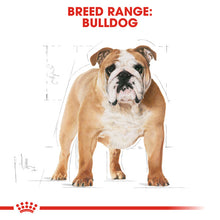 Load image into Gallery viewer, Royal Canin Dry Dog Food Specifically For Adult Bulldog - All Sizes
