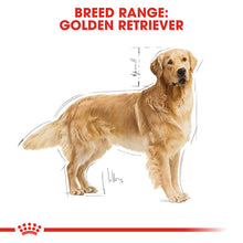 Load image into Gallery viewer, Royal Canin Dry Dog Food Specifically For Adult Golden Retriever - All Sizes