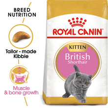 Load image into Gallery viewer, Royal Canin British Shorthair Kitten Dry Food For Cats 10kg