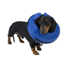 Load image into Gallery viewer, Buster Comfortable Inflatable Collar For Dogs