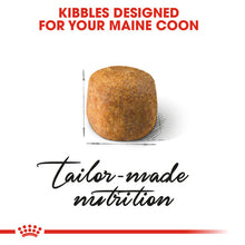 Load image into Gallery viewer, Royal Canin Persian Adult Dry Cat Food For Cats