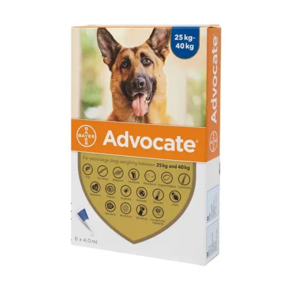 Advocate for sales dogs