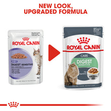Load image into Gallery viewer, Royal Canin Wet Cat Food Digestive Care In Gravy Pouch 48 x 85 g