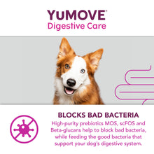 Load image into Gallery viewer, YuMOVE Digestive Care for All Dogs | Various Sizes