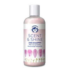 Load image into Gallery viewer, Dorwest Scent & Shine Shampoo
